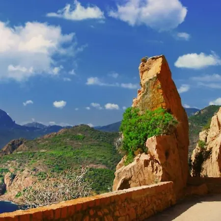 Appartement Cosy T2 Vue Climatise Wifi Et Equipe Refait A Neuf *