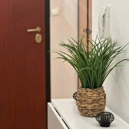 Apartament Cosy T2 Vue Climatise Wifi Et Equipe Refait A Neuf *