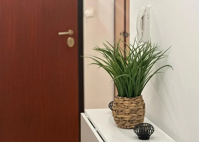 Apartment Cosy T2 Vue Climatise Wifi Et Equipe Refait A Neuf *