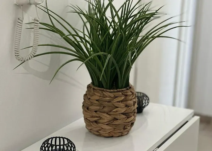 Cosy T2 Vue Climatise Wifi Et Equipe Refait A Neuf